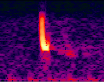 64 frequency bands