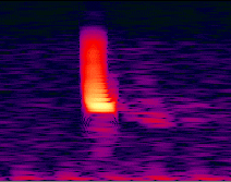 128 frequency bands