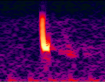 256-band spectrogram, window size 25%